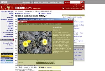 screen grab of my dandelions picture on the BBC site