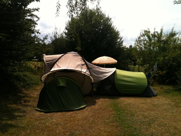 Tents pitched at a campsite
