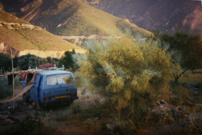 Blue VW T25 panel van parked among bushes below a hillside