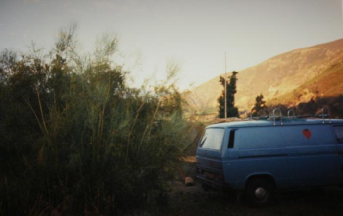 Blue T25 panel van parked beside bushes in the hills
