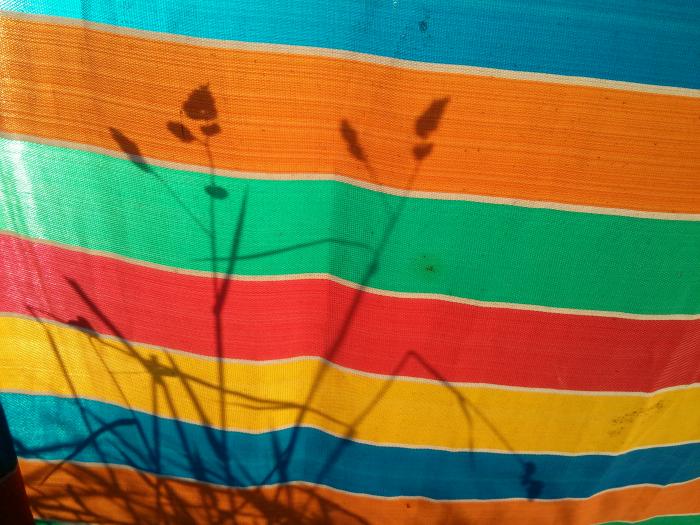 Shadows of grass on a striped windbreak