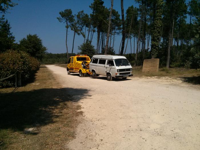 White T25 camper and a yellow van on a track through pine trees