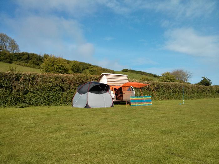 Rocky the T25 in a sunny devon field